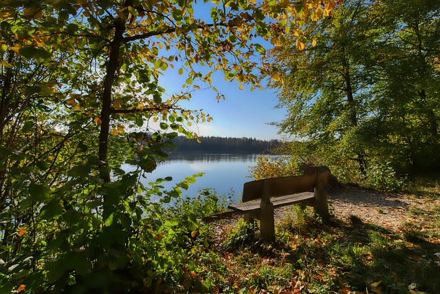 部长远发展 部长远发展