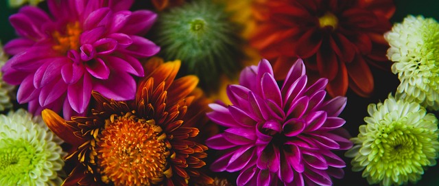 使得比赛变 使得比赛变