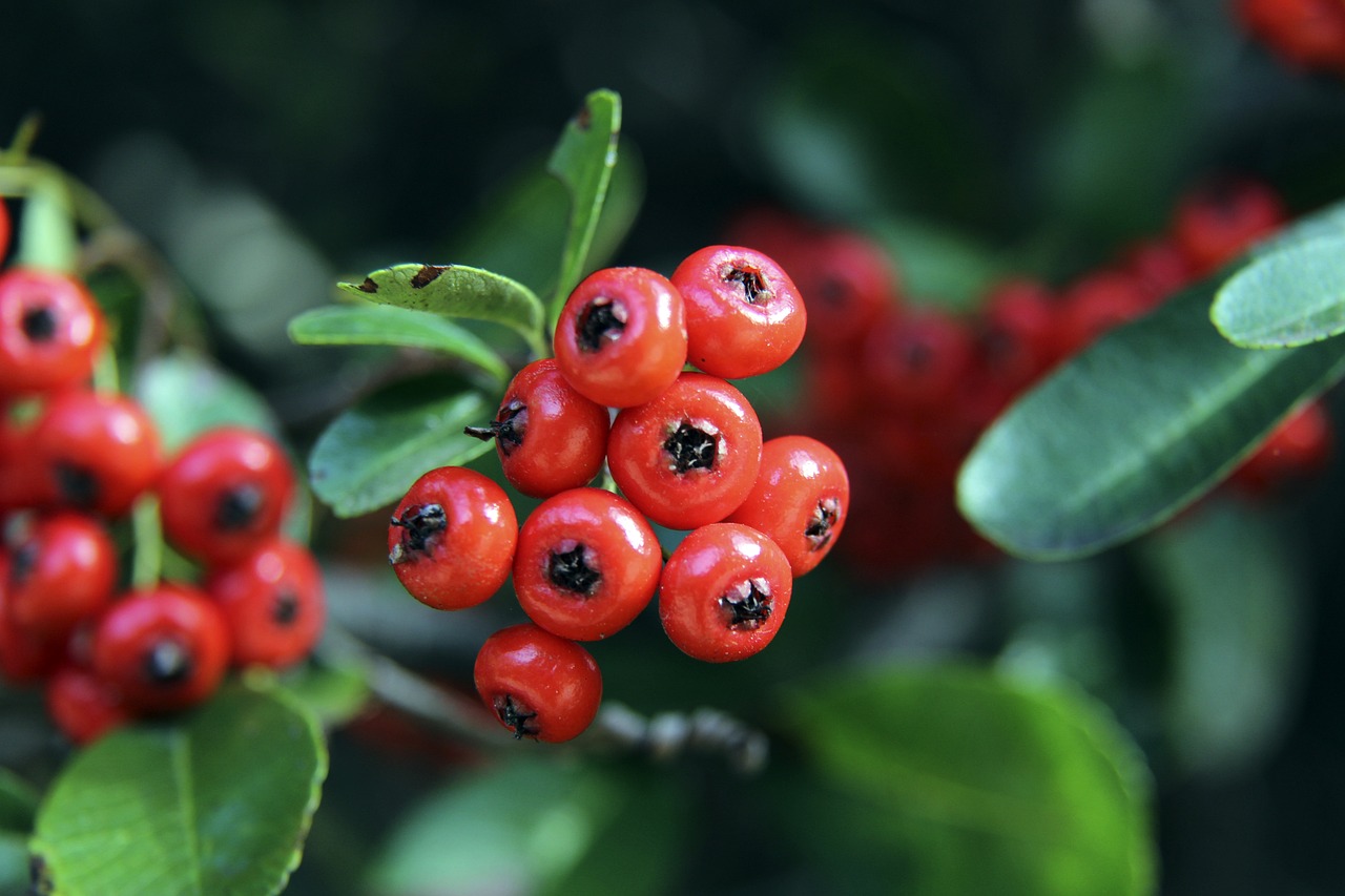 对此杜兰特 对此杜兰特