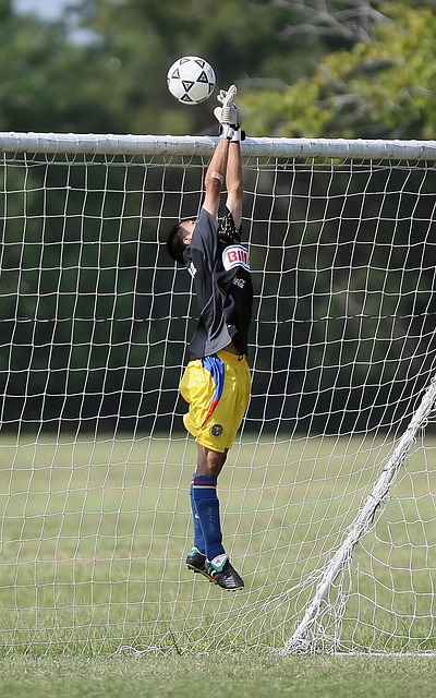 中埃合作现 中埃合作现