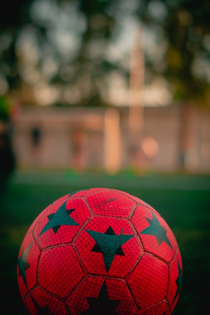 正如努诺所 正如努诺所