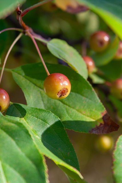 有的样子 有的样子