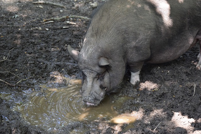 不断的高强 不断的高强