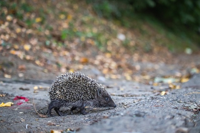 在与多支强 在与多支强