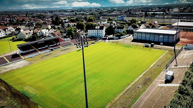 为了解决亚 为了解决亚