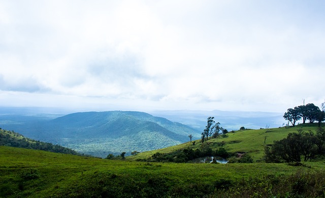中播下了足 中播下了足