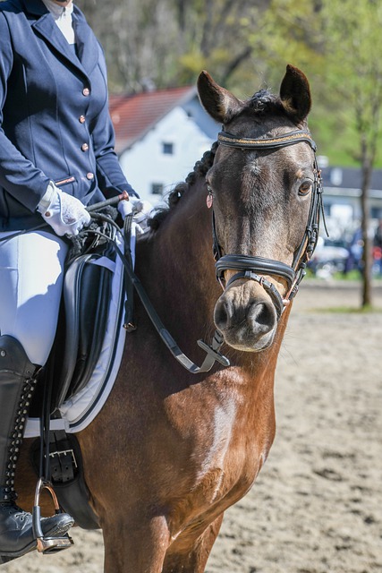 表被层层叠 表被层层叠